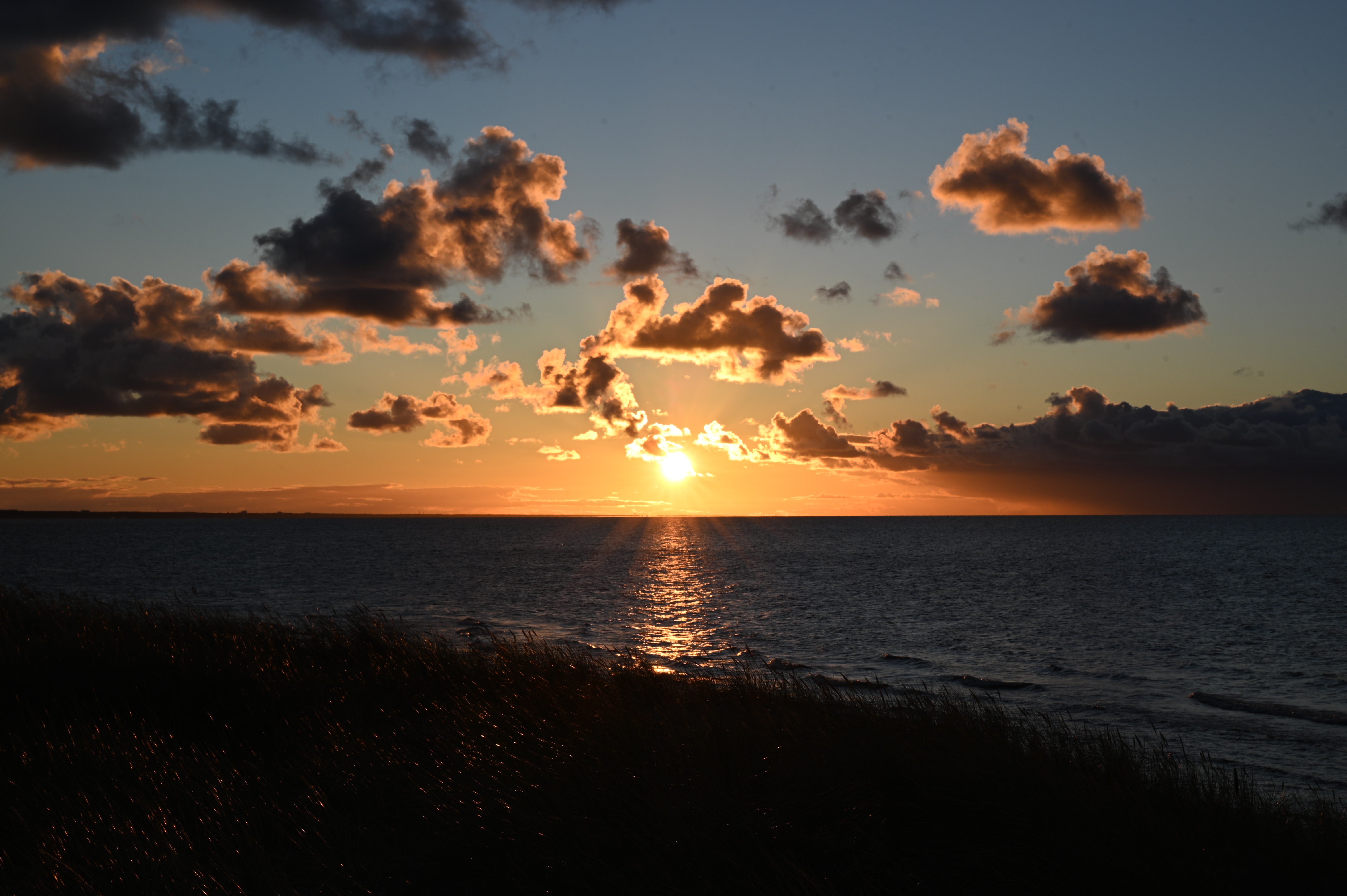 2025/10/18 - walk/DSC_0387.JPG